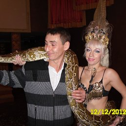  , --, 41  -  25  2017