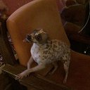 ���� ������, ������, 64 ���� - ��������� 26 ��� 2017 � ������ ������ ��������