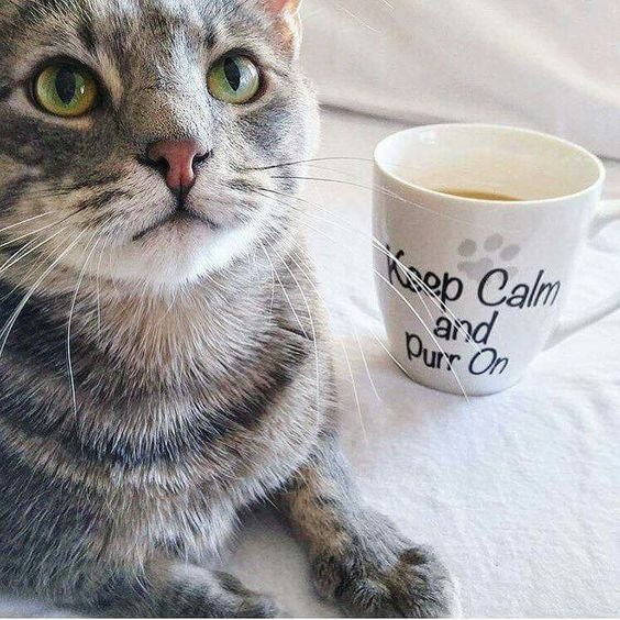     :3