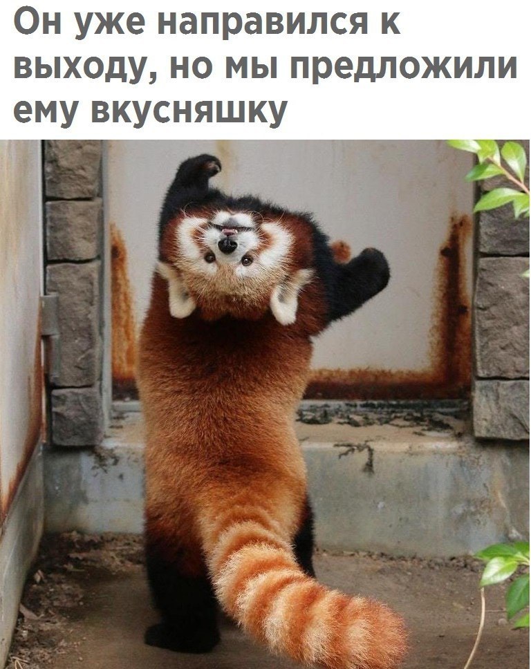   -   - 28  2017  07:30