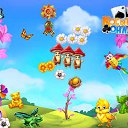 ���� ������, ����-���������, 51 ��� - ��������� 6 ��� 2017 � ������ �������� �������-�������