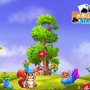  Vugar Vugar, , 56  -  1  2017    -