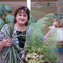 ���� �����, ��������, 54 ���� - ��������� 23 ������ 2017 � ������ ���� ����������