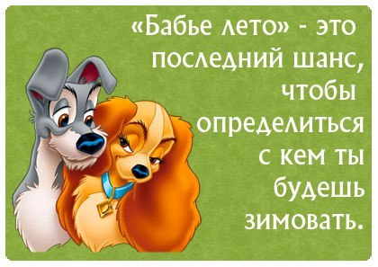 Comedy Club - 11  2017  06:39