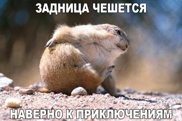 ����� � ������� - 10 ���� 2017 � 06:59