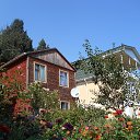 ���� �������, ���� - ��������� 8 ��� 2017 � ������ ������ ��������