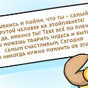 ���� �����, �����-���������, 48 ��� - ��������� 8 ��� 2017 � ������ ������ ��������