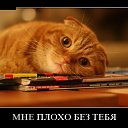  Andrey,  -  1  2017    