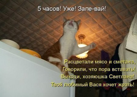    :D - 12  2017  18:07