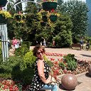 ���� �����, ������ - ��������� 8 ������� 2017 � ������ ���� ����������