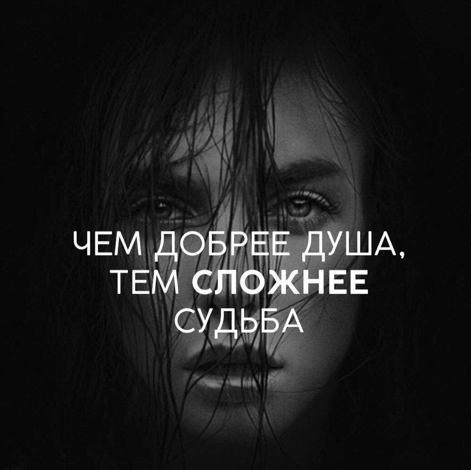   -  ,  -  - 13  2017  11:36