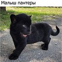 ���� Bes Predel, ��������, 40 ��� - ��������� 26 ������� 2017 � ������ �..?�