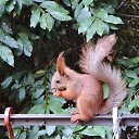  , , 60  -  16  2017    -, 2017