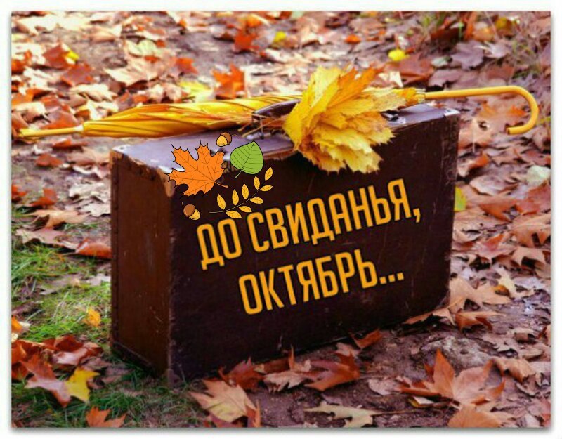 Сосчитаю листья осенние, Перемножу капли дождя. К ним прибавлю счастья мгновения Уходящего октября. ...