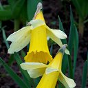 ������ 2017 �� ������� ���� ����������� (!) ��������)�