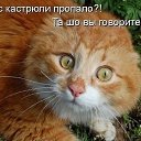 ���� ��, ����-������, 48 ��� - ��������� 4 ���� 2017