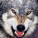 ���� ������, ��������� - ��������� 4 ������ 2017 � ������ ���� ����������