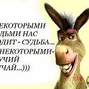 ���� �����, ��������, 49 ��� - ��������� 11 ������ 2017 � ������ ������ ��������