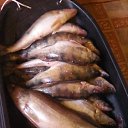 ���� �������, ������ - ��������� 28 ��� 2017 � ������ ������ ��������