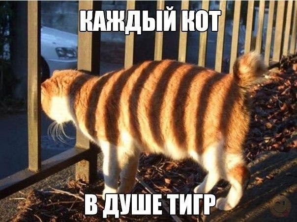 ������ �� ��� :D - 25 ���� 2017 � 02:33