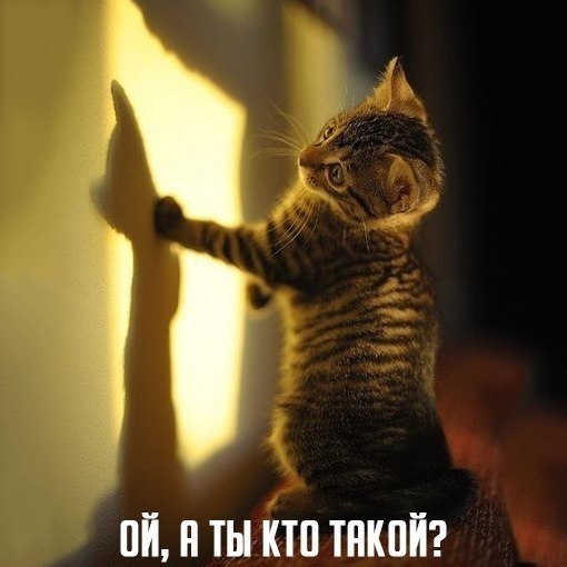    - 1  2017  16:17