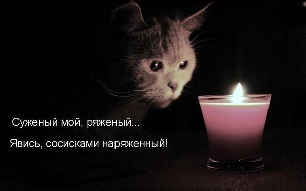    - 7  2017  13:16