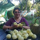  , -, 68  -  19  2017    