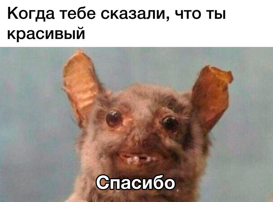 ׸  - 7  2017  20:28