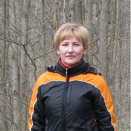 , 52, 