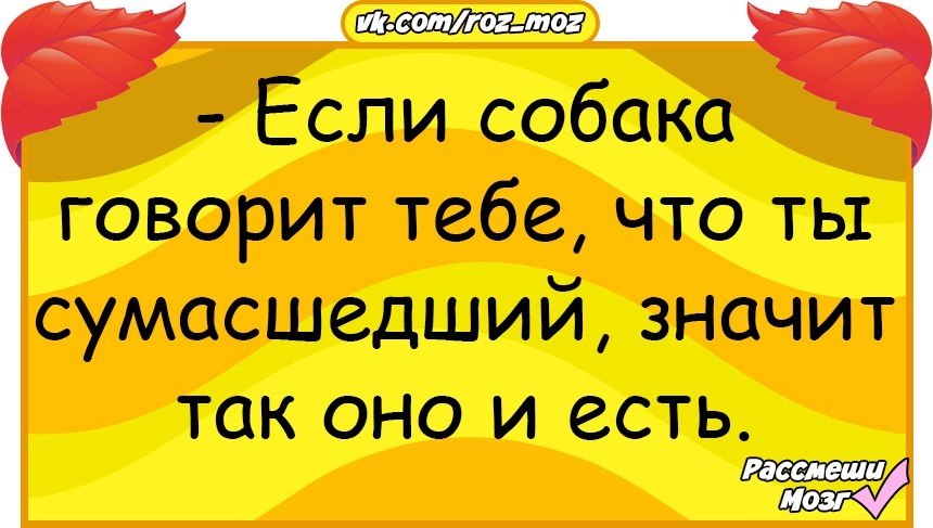  - 12  2017  16:49