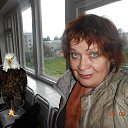  ,  , 75  -  28  2017    