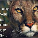 ���� ����, ��������, 51 ��� - ��������� 5 ���� 2017 � ������ ������ ��������