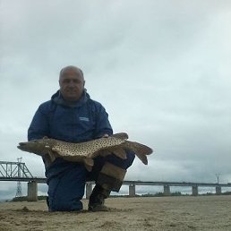 , 65 , 