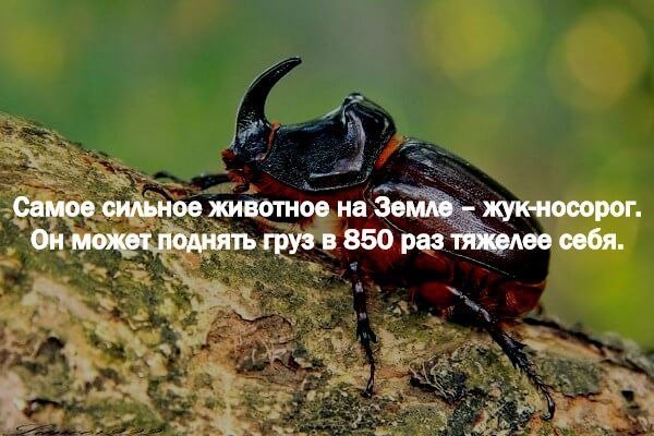   - 23  2017  22:55