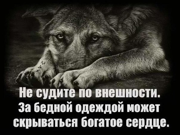   - 20  2017  20:30