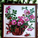  Galina, , 59  -  6  2017    