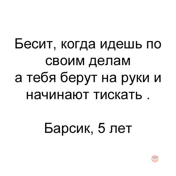   - 29  2017  17:56
