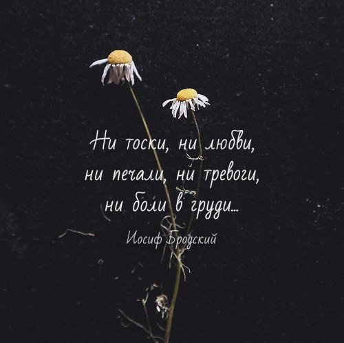    - 20  2017  07:46