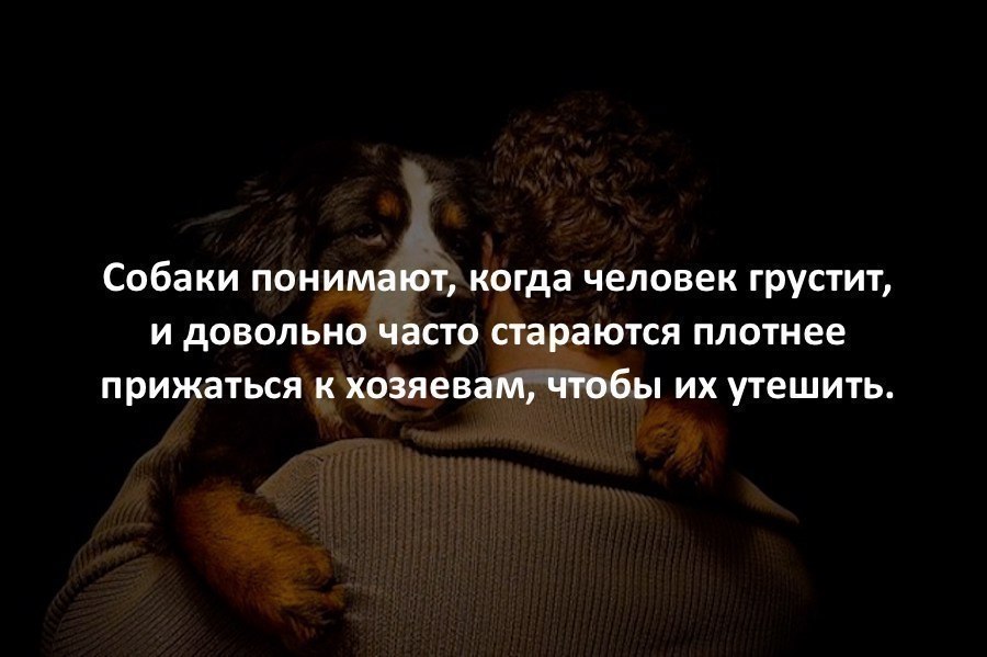   - 10  2017  17:26