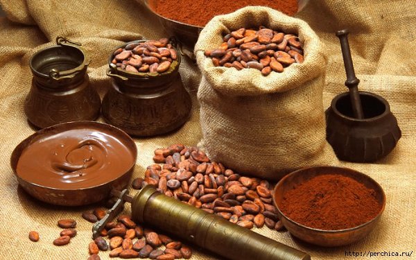 ))).Почему нужно пить какао - факты,которые вы еще не знали Вкус какао является одним из «вкусов ...