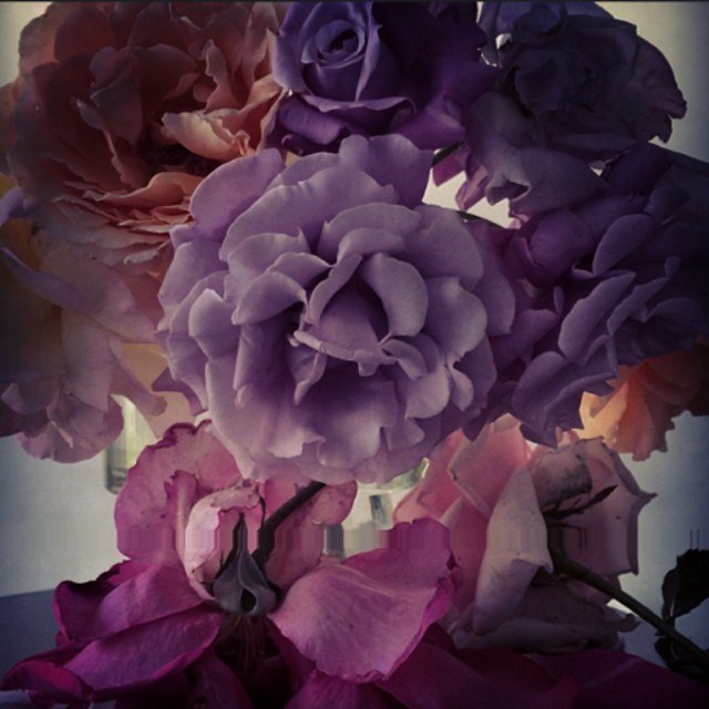 Nick Knight - 4