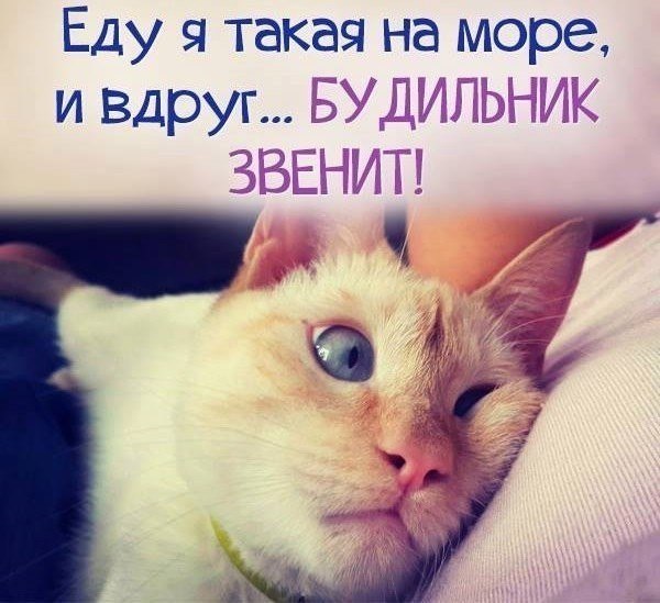    - 12  2017  10:54