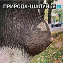 ���� ����, ���, 67 ��� - ��������� 8 ������ 2017