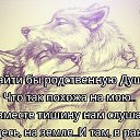 ���� ������, �����, 52 ���� - ��������� 9 ������ 2017
