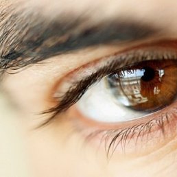 ����, �������, 40 ���