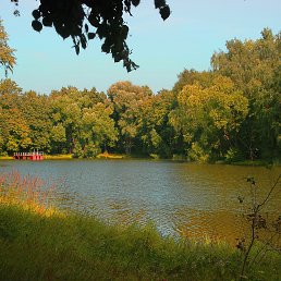 ���� ��������, ������, 77 ��� - ��������� 5 ������� 2017