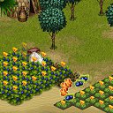  ,  -  21  2017   Tropikania