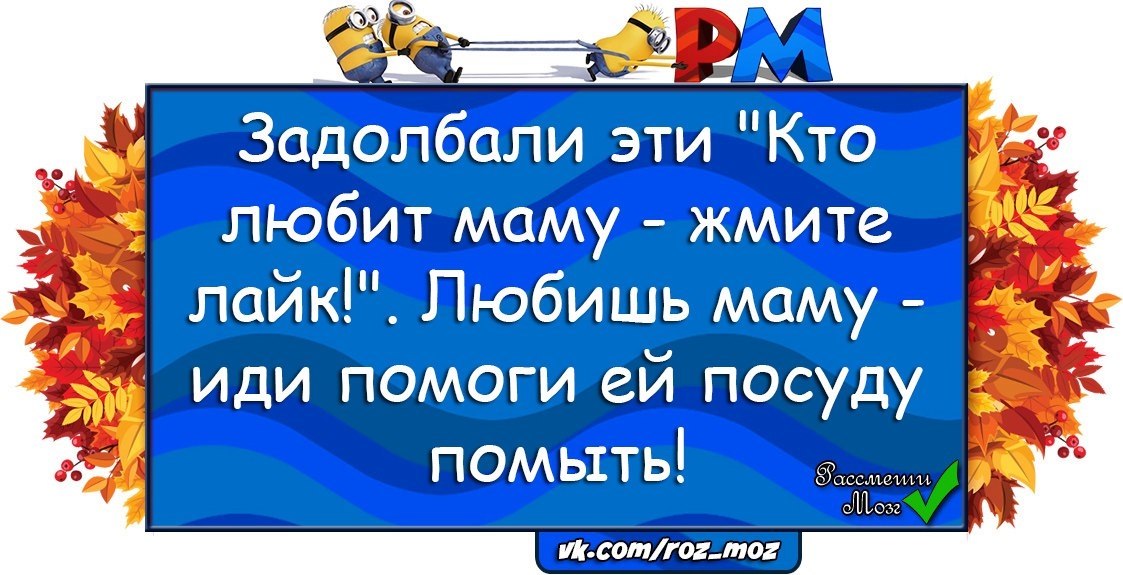  - 25  2017  09:55