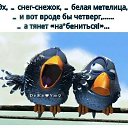 ���� ���������, ����������� - ��������� 17 ��� 2017 � ������ �������� ��������