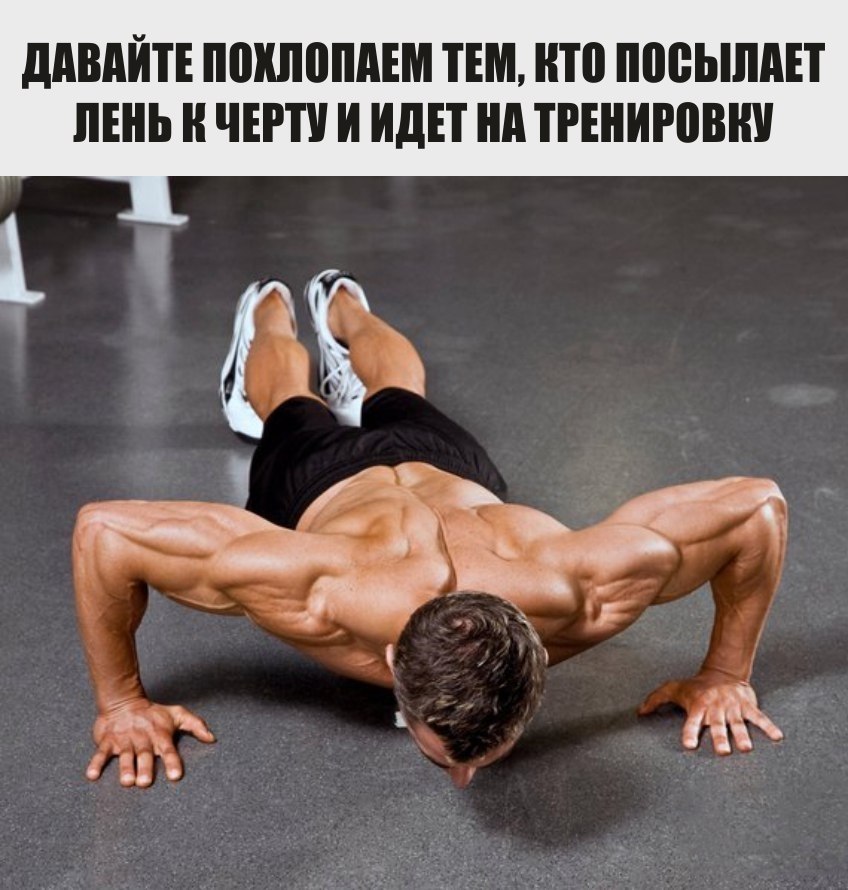  -   - 16  2017  03:37
